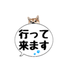 柴犬のぼちゃん デカ文字吹出し②（個別スタンプ：28）