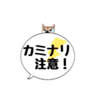 柴犬のぼちゃん デカ文字吹出し②（個別スタンプ：30）