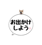 柴犬のぼちゃん デカ文字吹出し②（個別スタンプ：34）