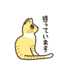 ねこごまとピーナッツの日常 2 (日文版)（個別スタンプ：8）