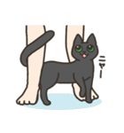 ねこごまとピーナッツの日常 2 (日文版)（個別スタンプ：9）