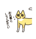 ねこごまとピーナッツの日常 2 (日文版)（個別スタンプ：12）