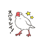 文鳥のいる日常（個別スタンプ：5）