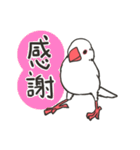 文鳥のいる日常（個別スタンプ：7）