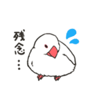 文鳥のいる日常（個別スタンプ：19）