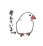 文鳥のいる日常（個別スタンプ：23）