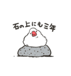 文鳥のいる日常（個別スタンプ：37）