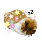 みゅーくんの日々是好日（個別スタンプ：8）