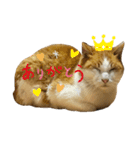 みゅーくんの日々是好日（個別スタンプ：14）