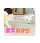 ちくわ×ボンド 親友のスタンプ（個別スタンプ：8）