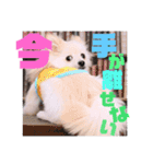 ちくわ×ボンド 親友のスタンプ（個別スタンプ：9）