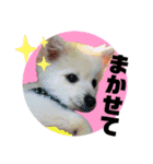 ちくわ×ボンド 親友のスタンプ（個別スタンプ：10）