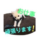 ちくわ×ボンド 親友のスタンプ（個別スタンプ：16）