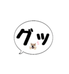 柴犬のぼちゃん デカ文字吹出し③（個別スタンプ：3）