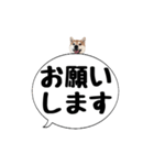 柴犬のぼちゃん デカ文字吹出し③（個別スタンプ：6）