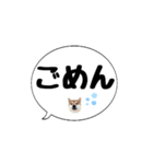 柴犬のぼちゃん デカ文字吹出し③（個別スタンプ：8）