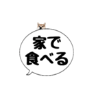 柴犬のぼちゃん デカ文字吹出し③（個別スタンプ：10）