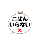 柴犬のぼちゃん デカ文字吹出し③（個別スタンプ：11）