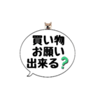 柴犬のぼちゃん デカ文字吹出し③（個別スタンプ：13）