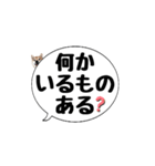 柴犬のぼちゃん デカ文字吹出し③（個別スタンプ：14）
