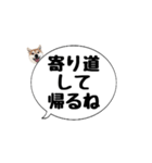 柴犬のぼちゃん デカ文字吹出し③（個別スタンプ：18）