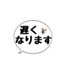 柴犬のぼちゃん デカ文字吹出し③（個別スタンプ：19）