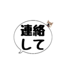 柴犬のぼちゃん デカ文字吹出し③（個別スタンプ：21）