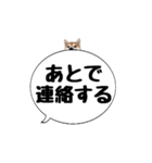 柴犬のぼちゃん デカ文字吹出し③（個別スタンプ：23）