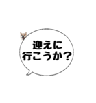 柴犬のぼちゃん デカ文字吹出し③（個別スタンプ：25）