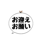 柴犬のぼちゃん デカ文字吹出し③（個別スタンプ：26）