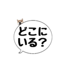 柴犬のぼちゃん デカ文字吹出し③（個別スタンプ：29）