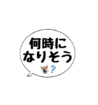 柴犬のぼちゃん デカ文字吹出し③（個別スタンプ：30）