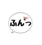 柴犬のぼちゃん デカ文字吹出し③（個別スタンプ：34）