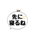 柴犬のぼちゃん デカ文字吹出し③（個別スタンプ：39）