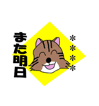 毎回ねこスタンプ 5（個別スタンプ：1）