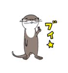 コツメカワウソのかわうー（個別スタンプ：1）