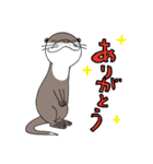 コツメカワウソのかわうー（個別スタンプ：3）