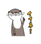 コツメカワウソのかわうー（個別スタンプ：6）