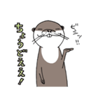 コツメカワウソのかわうー（個別スタンプ：8）