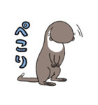 コツメカワウソのかわうー（個別スタンプ：10）