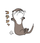 コツメカワウソのかわうー（個別スタンプ：13）