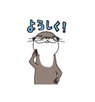 コツメカワウソのかわうー（個別スタンプ：23）