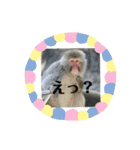 動物達のひとり言（個別スタンプ：1）