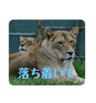 動物達のひとり言（個別スタンプ：3）