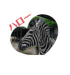 動物達のひとり言（個別スタンプ：4）