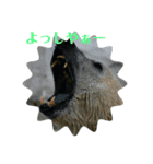 動物達のひとり言（個別スタンプ：6）