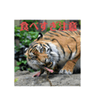動物達のひとり言（個別スタンプ：7）