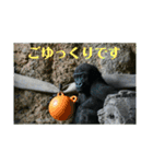 動物達のひとり言（個別スタンプ：8）