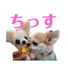 ワンだらけ パラダイス（個別スタンプ：2）