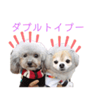 ワンだらけ パラダイス（個別スタンプ：4）